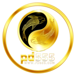 pd555 เว็บพนันครบวงจร ให้มากกว่าความสนุก มั่นใจทุกการเดิมพัน 